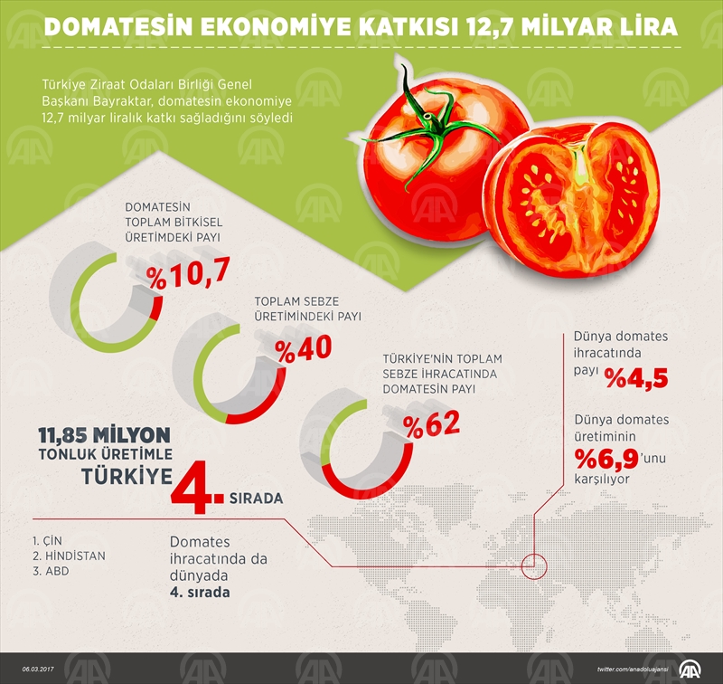 Domatesin ekonomiye katkısı 12,7 milyar lira