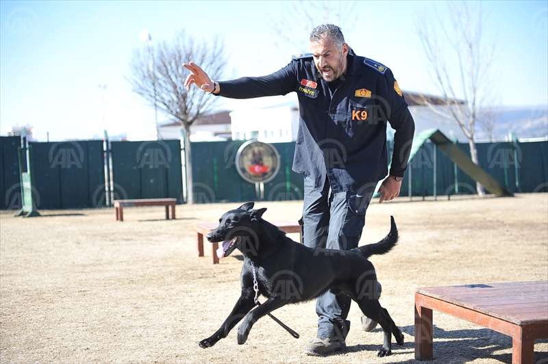 K-9 bomba köpekleri göreve hazır