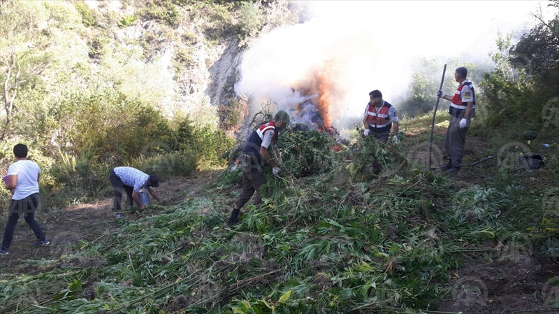 Konyada uyuşturucu operasyonu