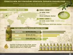 Türkiyenin zeytinyağını dünyaya İspanya pazarlıyor