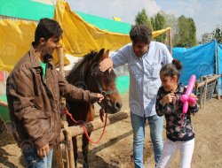 Başkentte diyabetli çocuklar bir araya geldi