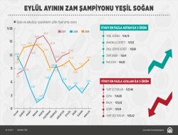 Eylül ayının zam şampiyonu yeşil soğan