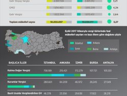 Türkiyede 10,5 milyon mükellefin 3 milyonu İstanbulda