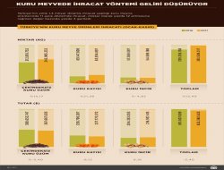 Kuru meyvede ihracat yöntemi geliri düşürüyor