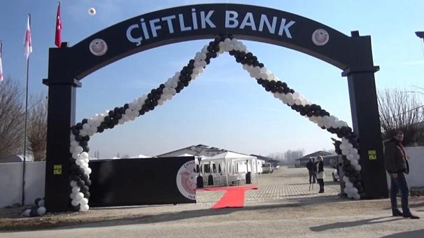 Çiftlik Bank soruşturmasında 3 şirkete kayyum atandı!