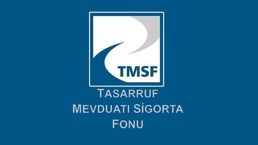 TMSF, Dumankaya şirketlerinin tasfiyesine karar verdi