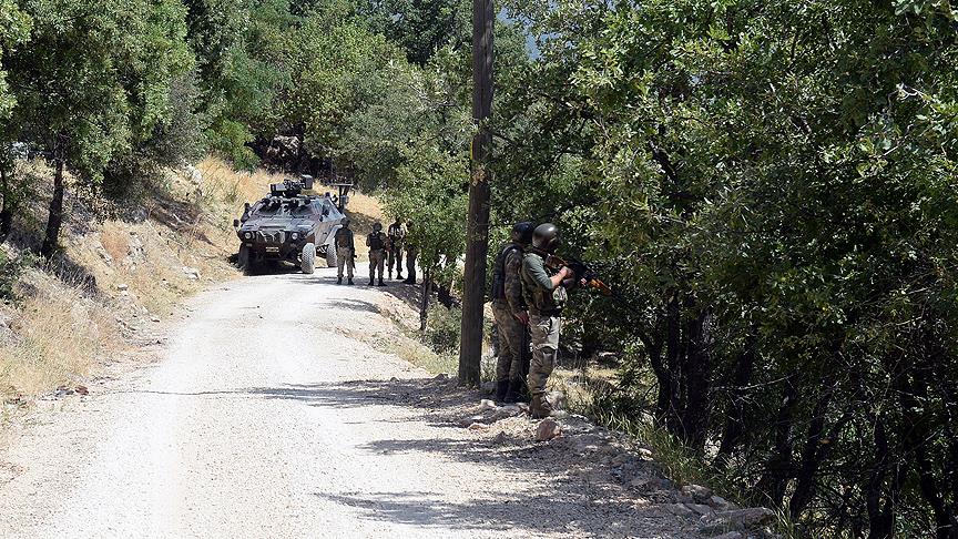 Tunceli'de eylem hazırlığındaki 10 terörist etkisiz hale getirildi