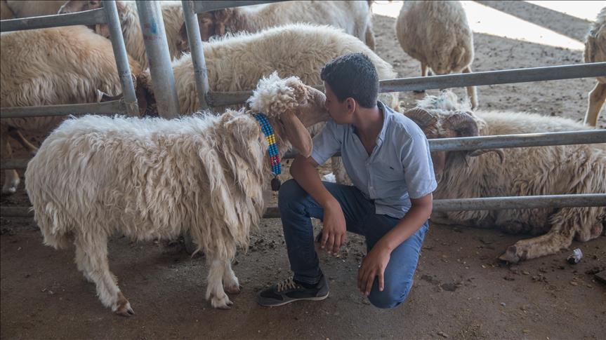 Hayvan pazarlarında 'kurban' hareketliliği