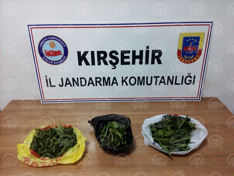 Kırşehir'de uyuşturucu operasyonu