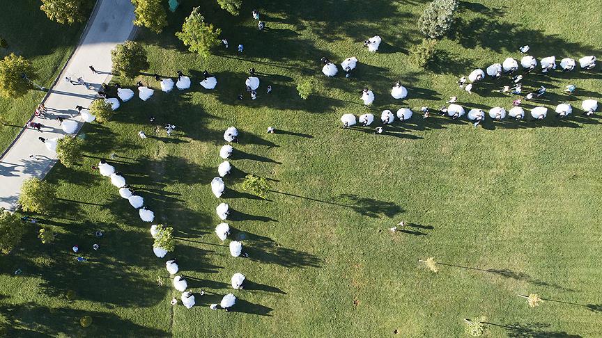 Başkentte 218 çift bir ömür için 'evet' dedi