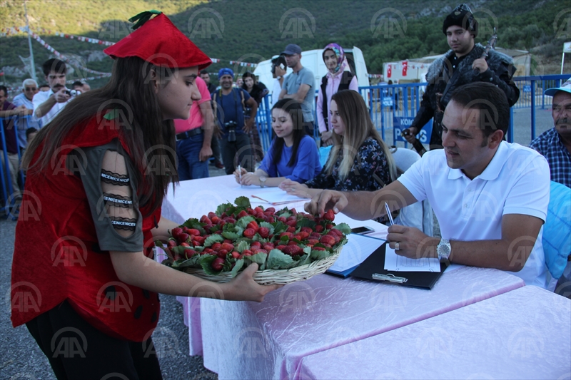 Seydişehir'de en iyi çilek yetiştiriciliği yarışması