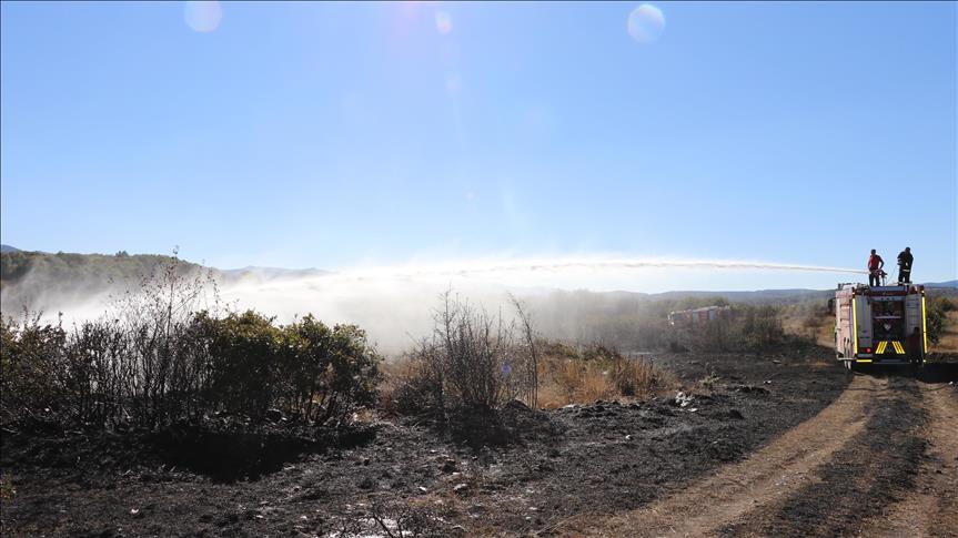 Bolu'da orman yangını