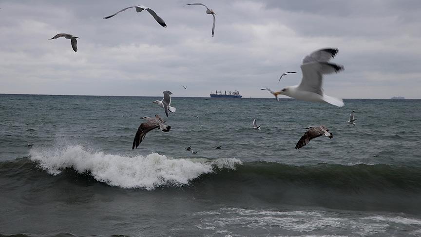 Marmara Denizi'nde ulaşıma poyraz engeli