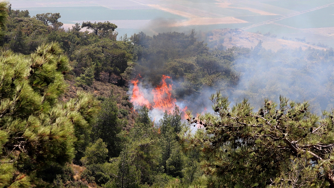 Terör örgütü PKK, orman yakıp şantiyelere saldırdı!