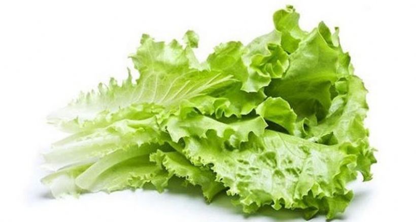 Şubatta en fazla kıvırcık salata fiyatı arttı!