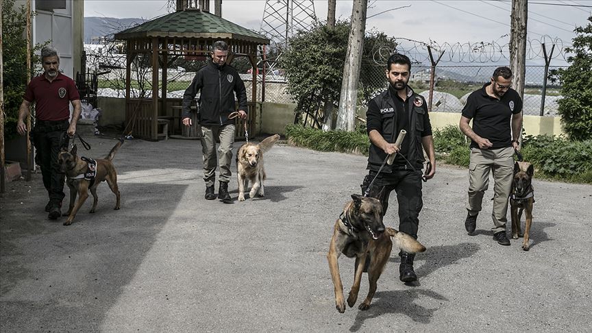 'Hassas burunlar' zehir tacirlerine geçit vermiyor!