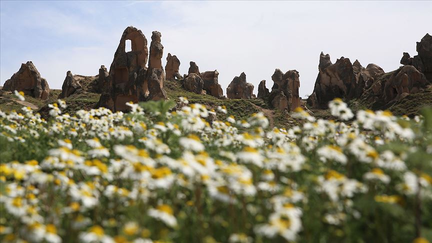 Kapadokya 'çiçek açtı'