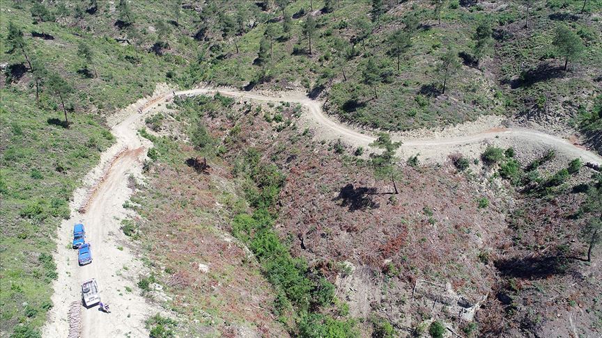 Ecrin'e ait olduğu düşünülen ayakkabı ile kemik parçaları bulunan bölgede aramalar sürüyor