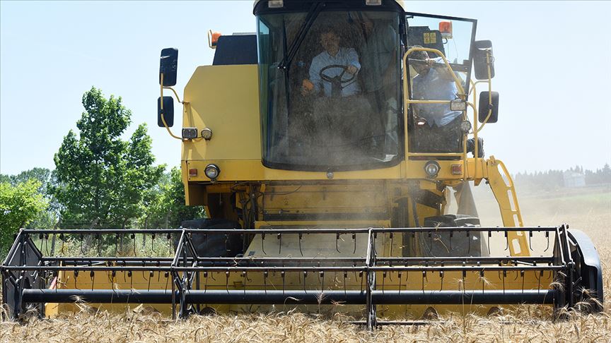 Bakan Pakdemirli Büyükçekmece'de buğday hasadı yaptı