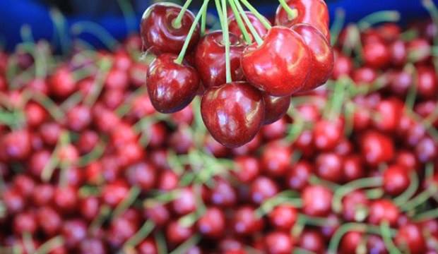 Sultandağı'nda üretilen Napolyon kirazı kalitesiyle büyük ilgi görüyor