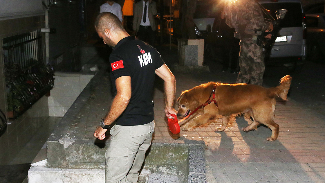 İstanbul'da 73 adrese eş zamanlı uyuşturucu operasyonu