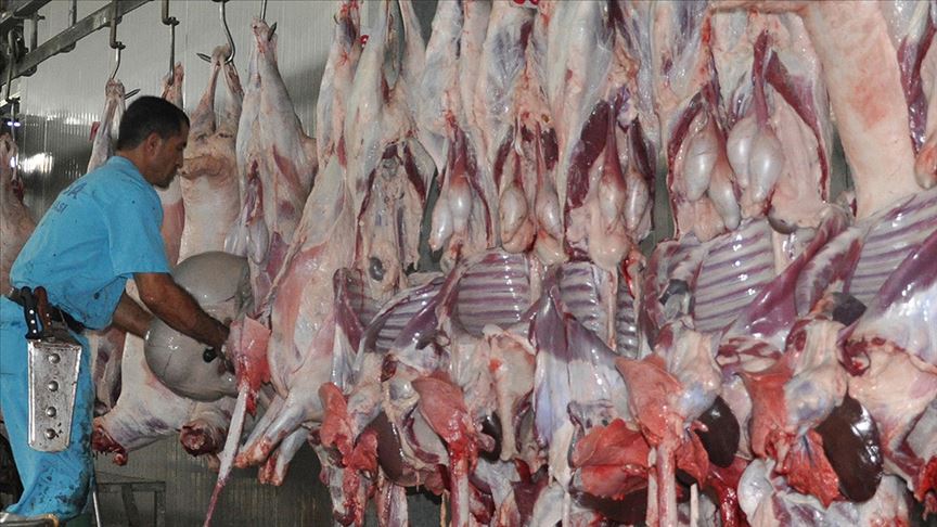 'Acemi kasaplar nedeniyle etin yüzde 15'i çöpe gidiyor'