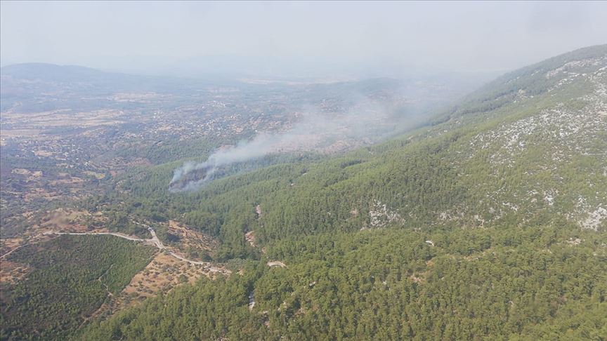 Muğla'da orman yangını