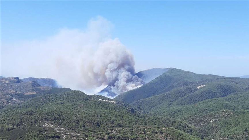 Muğla'da orman yangınları