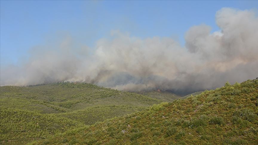 Muğla'daki orman yangınları kısmen kontrol altına alındı