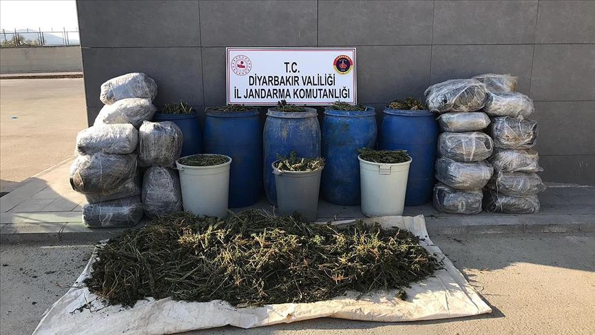 Diyarbakır'da araziye saklanmış halde 702 kilogram esrar ele geçirildi