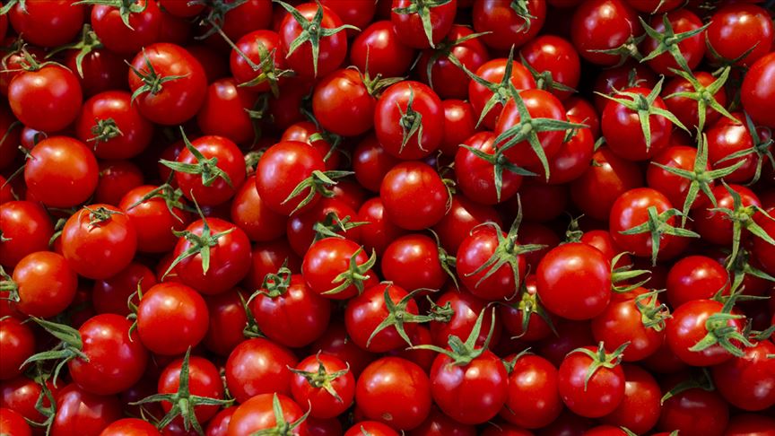 Kasımda en fazla domatesin fiyatı arttı!