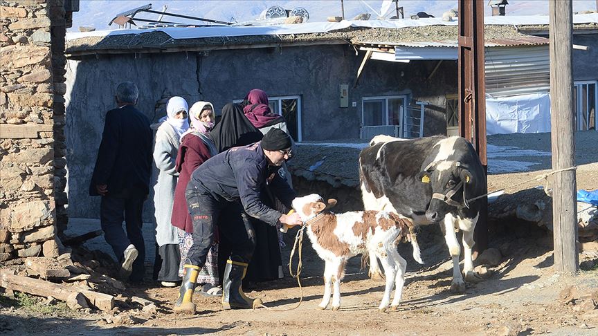 Malatya'da yıkılan ahırlarda mahsur kalan hayvanları itfaiye ekipleri kurtardı