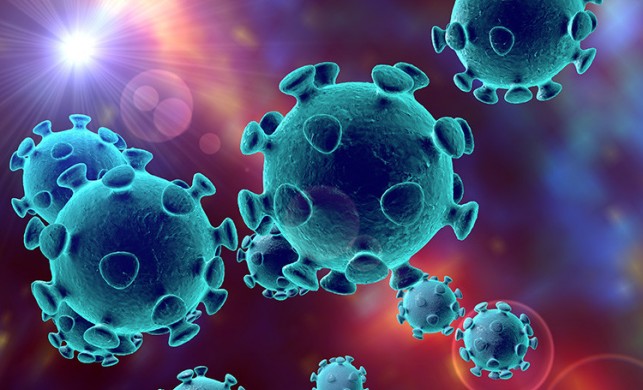 Bulaşıcı koronavirüsler halk sağlığını sınır aşırı tehdit ediyor
