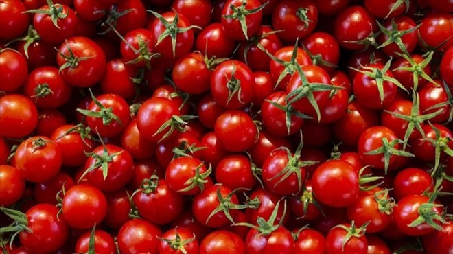 Pekcan: "Rusya'ya ihraç edilecek domatesin ithalat kotası 200 bin tona çıkarıldı"