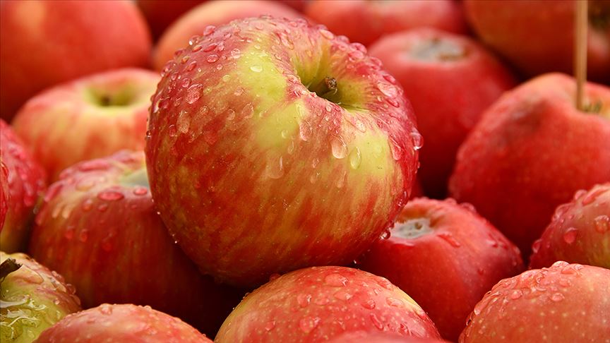 Türk ihracatçısı 210 milyon dolarlık 'Tayland elma pazarı'na giriyor