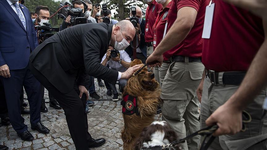 Soylu: Yakalamaların yüzde 46'sı narkotik köpekleri marifetiyle gerçekleştirilmiştir