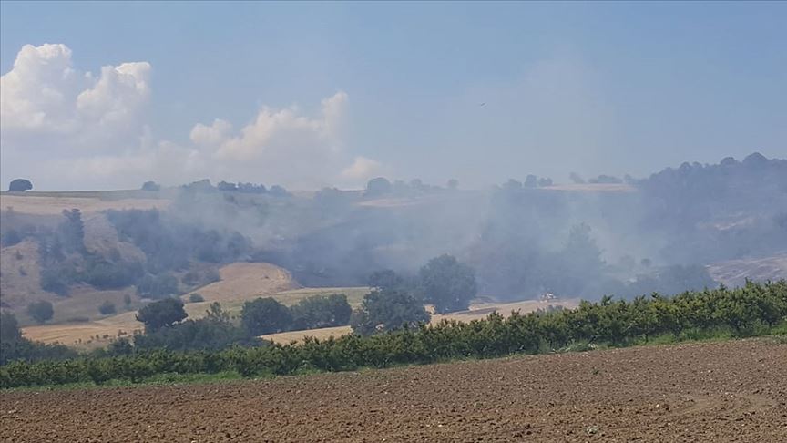 Çanakkale’deki orman yangını kontrol altına alındı