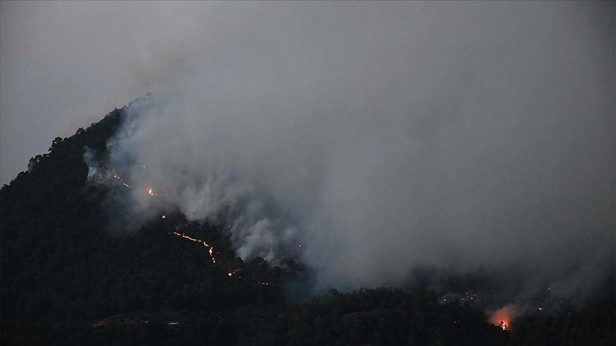 Manisa'daki orman yangını kısmen kontrol altına alındı