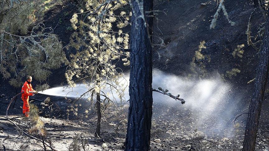 Tarım ve Orman Bakanı Pakdemirli: Ankara'daki orman yangını büyük ölçüde kontrol altına alındı