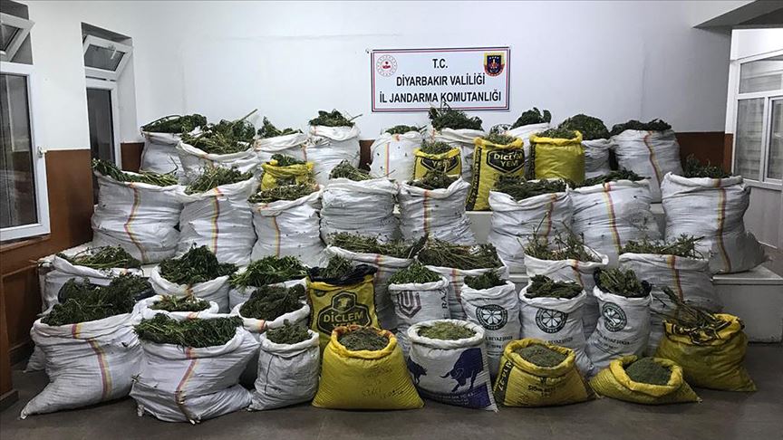 Diyarbakır'da 669 kilo 60 gram esrar, 510 bin kök Hint keneviri ele geçirildi