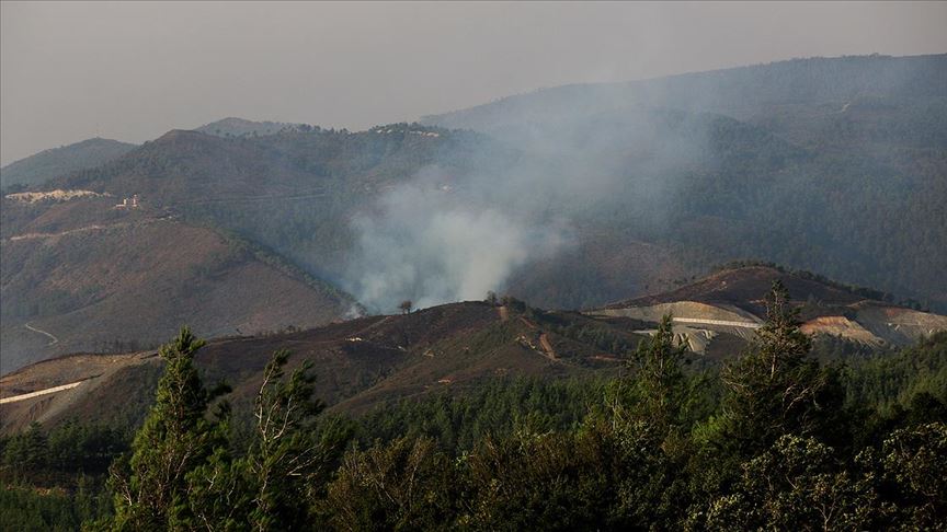 Suriye'nin Hatay sınırındaki orman yangını sürüyor