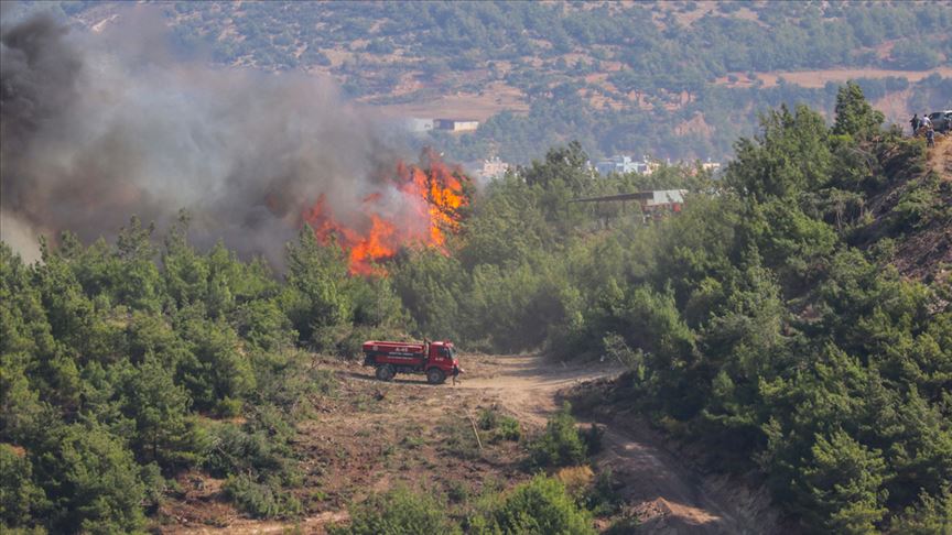 Hatay'daki orman yangınları kontrol altına alındı!