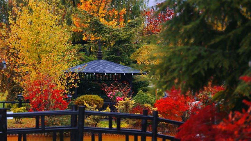 Konya'daki Kuğulu ve Japon Parkı hazan renklerine büründü