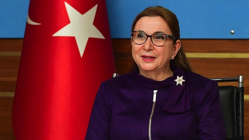 Pekcan: Her fırsatta stratejik hedefimizin AB'ye tam üyelik olduğunun altını çiziyoruz