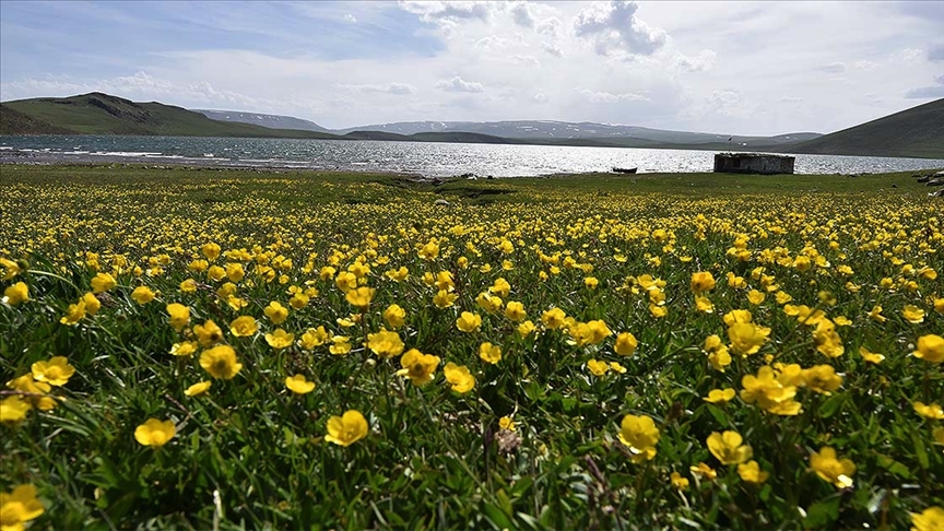 Nevruz'un habercisi son cemre bugün toprağa düşüyor!