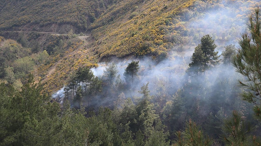 Hatay'da çıkan örtü yangınına müdahale ediliyor