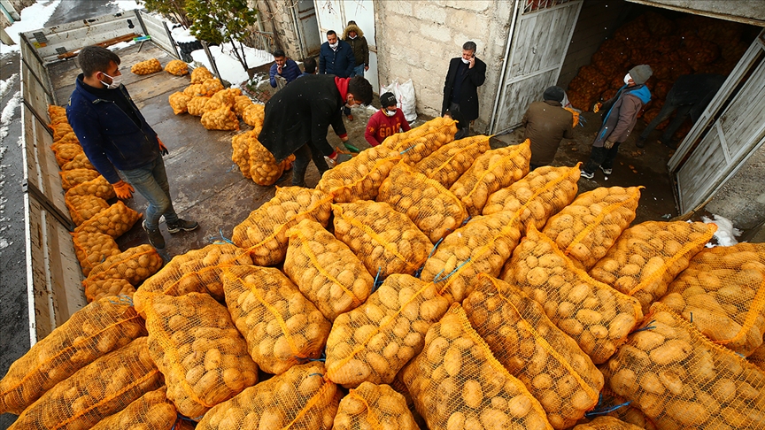 Erdoğan'ın müjdesinin ardından depodaki patatesini TMO'ya satan Nevşehirli çiftçiler mutlu