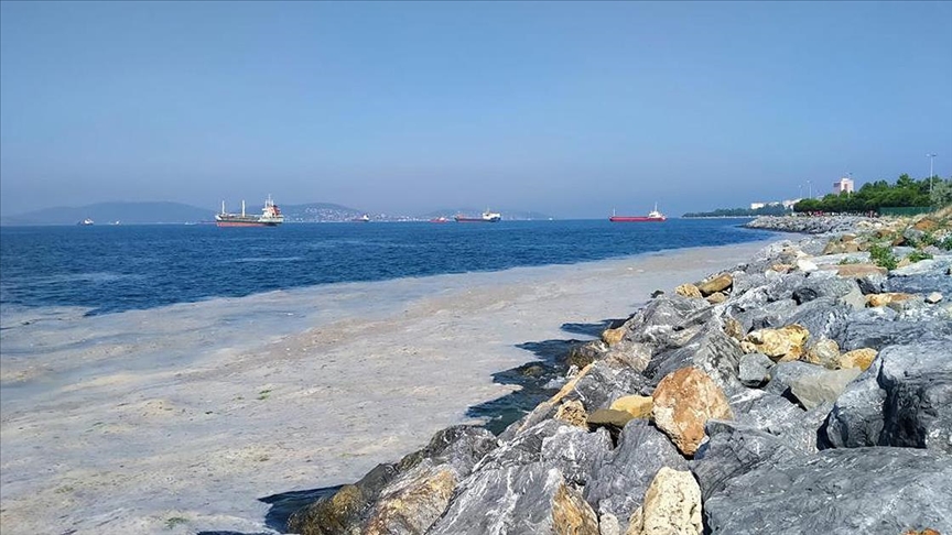 Bakan Kurum: Marmara Denizi'nden 7 günde 2 bin 684 metreküp müsilaj temizlendi