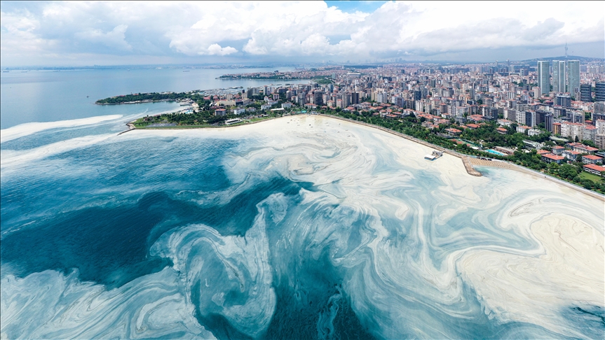 Caddebostan Sahili'nde müsilaj yoğunluğu arttı!