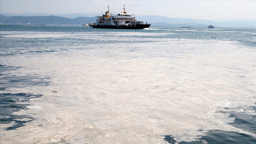 İzmit Körfezi'nde müsilaj etkisini sürdürüyor